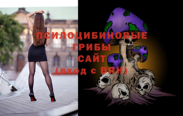 кокс Алексин