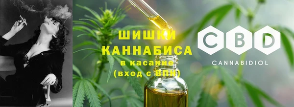 шишки Алзамай