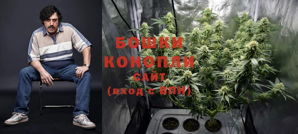 шишки Алзамай