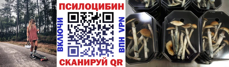 Псилоцибиновые грибы мухоморы  Муром 