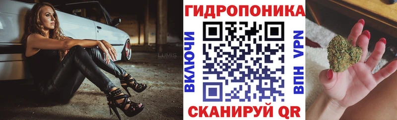 наркотики  Муром  Каннабис марихуана 